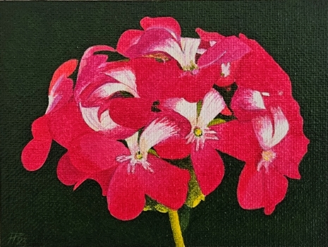 Flores 4